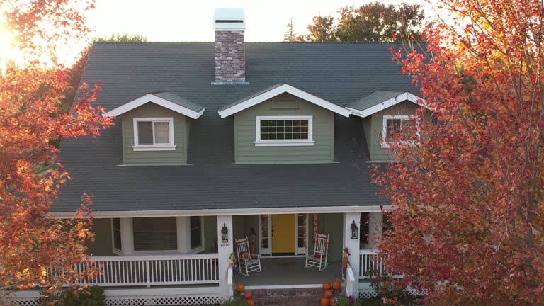 Best Skylight Installation and Repair  in Lakewood, IL